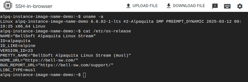 009-instance-ssh-using-browser