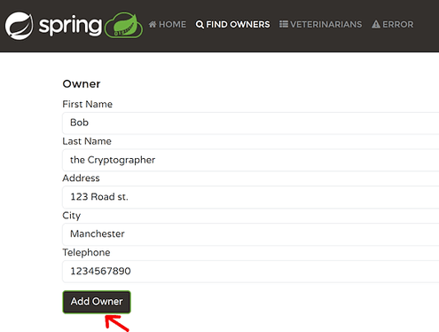 petclinic add owner form