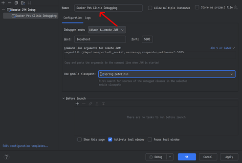 intellij remote jvm debug settings