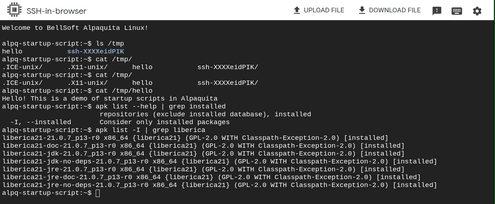 014-startup-script-proof