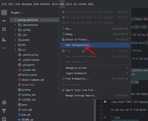 intellij edit config