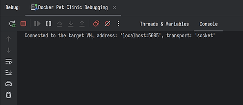 intellij debugging connected