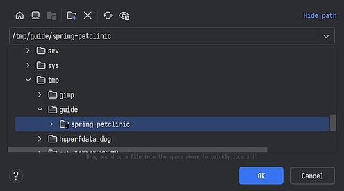 intellij open project