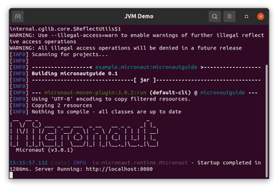 Integrating Micronaut with Native Image Kit | BellSoft Java