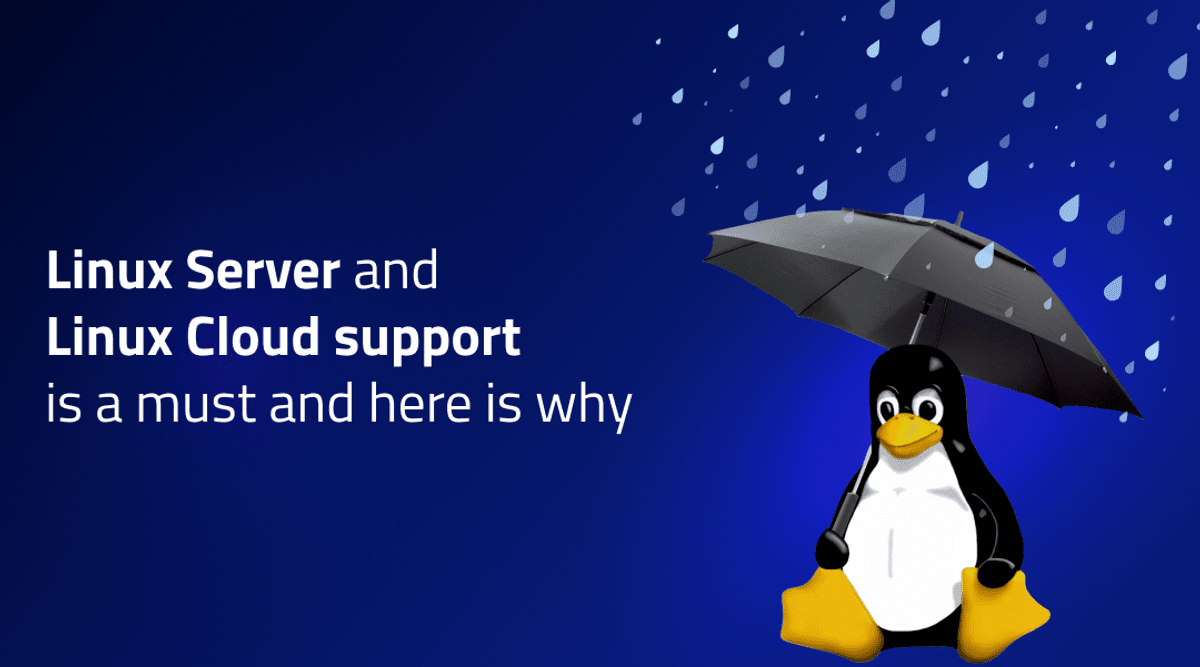 The value of Linux Server and Linux Cloud support | BellSoft Java