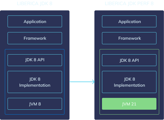 Schema